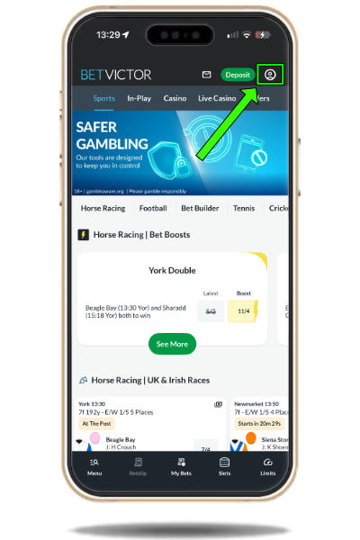 BetVictor account settings icon