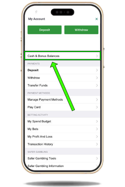 Paddy Power balances and bonuses